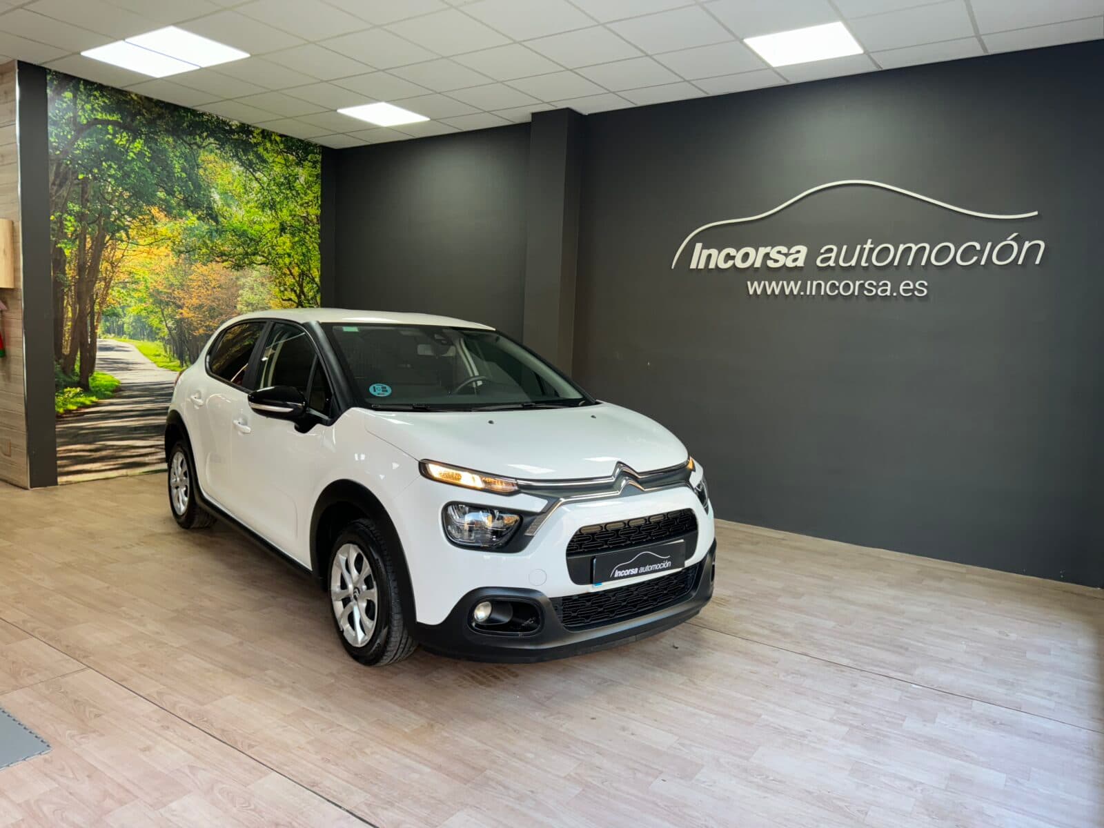 CITROEN C3 Blue HDI 73KW 100CV SS Comercial — foto principal